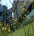 Stony Brook University Hospital Photo