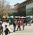 Photo: Students walking on campus