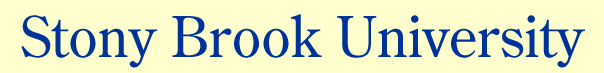 Stony Brook University Title