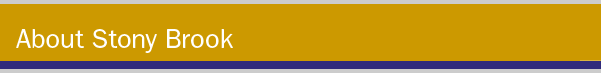 Welcome to Stony Brook Title bar