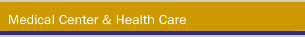 Hospital and Health Care Title bar