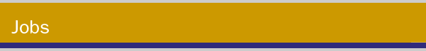 SB Stores Title bar