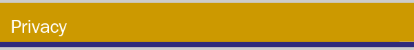 Privacy Policy Title bar