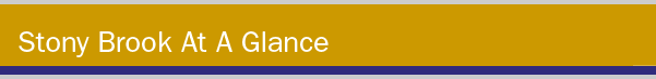 Accessibility Title bar