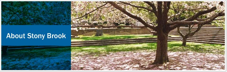 about stony brook title bar and photo of flowering tree on campus