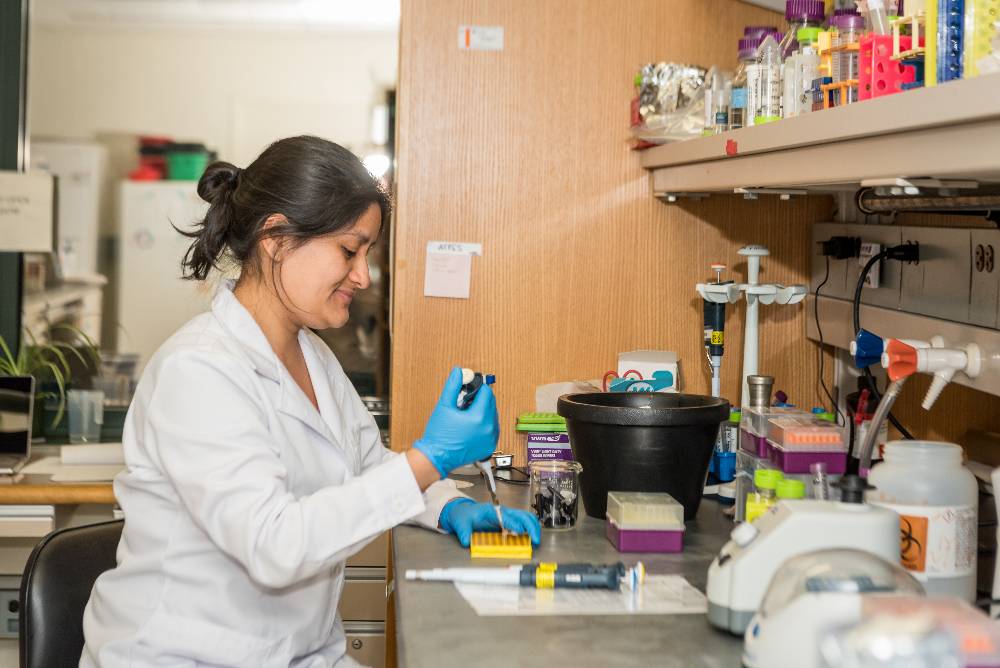 A student working at a lab bench