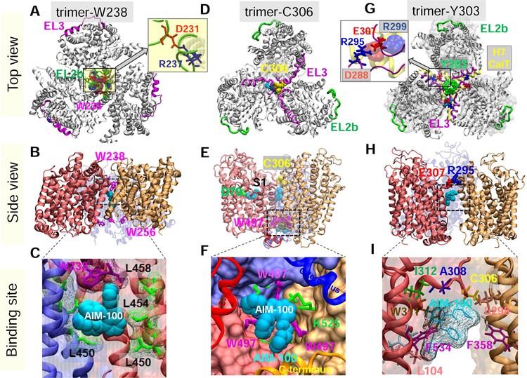Bridging structure and function via dynamics