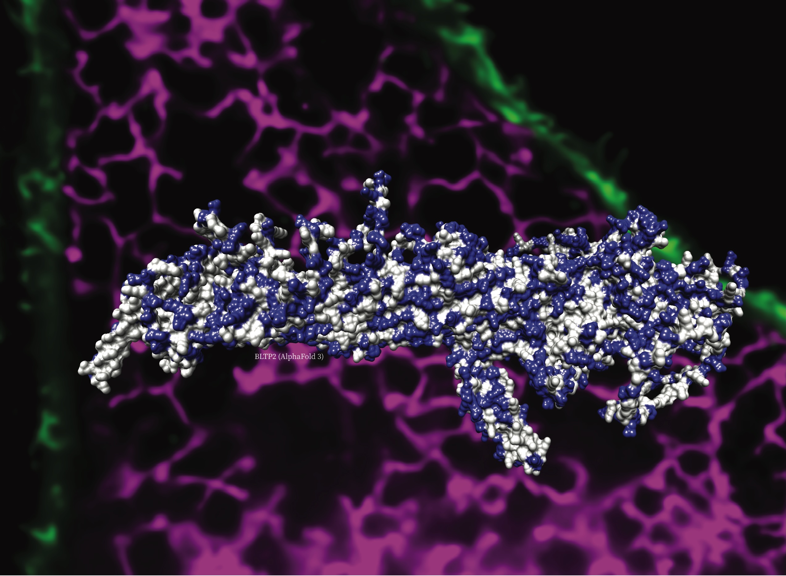 Structural image of a molecule