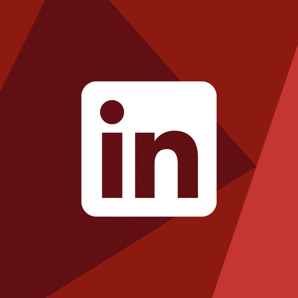 LinkedIn logo icon