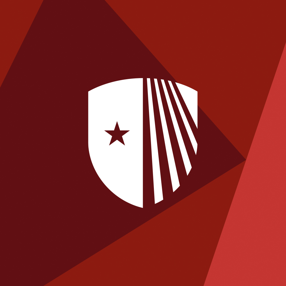 stony brook shield icon