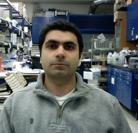 Esam Al-Shareffi, MD/PhD portrait