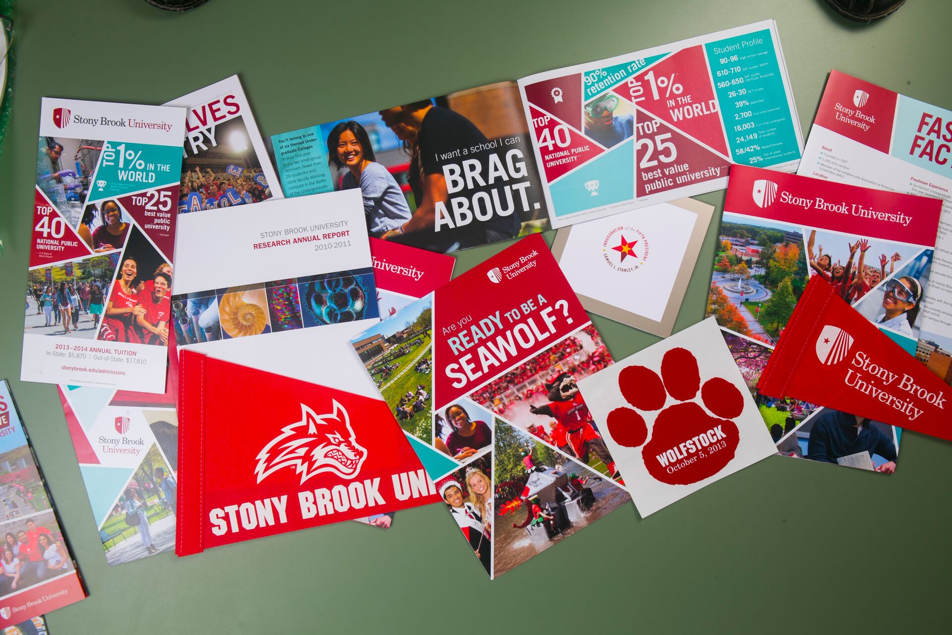 A collection of Stony Brook University promotional materials featuring brochures, pamphlets, and a red pennant with a wolf logo on a green surface.