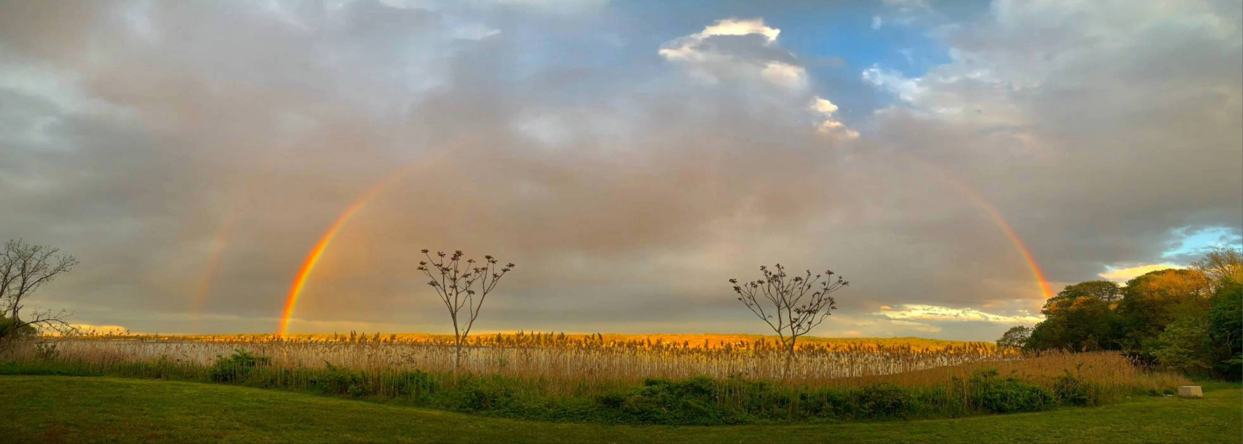 field with a rainbow