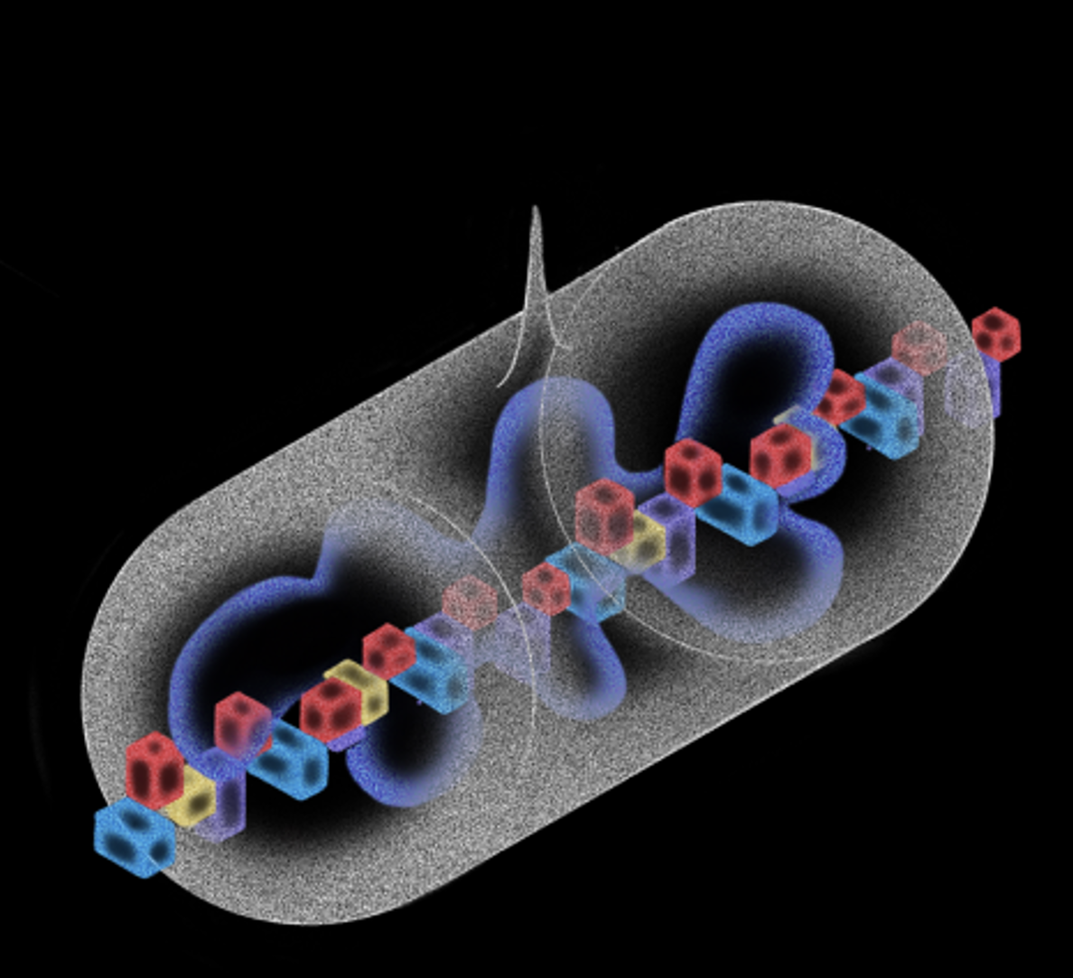 An abstract 3D scientific illustration depicting quantum memories. A linear chain of colorful, glowing cubes passes through a transparent capsule, surrounded by translucent blue wave-like orbital shapes.