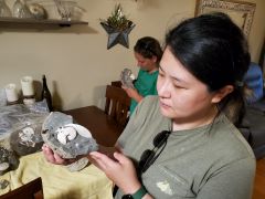 Yang Gao with Ammonites