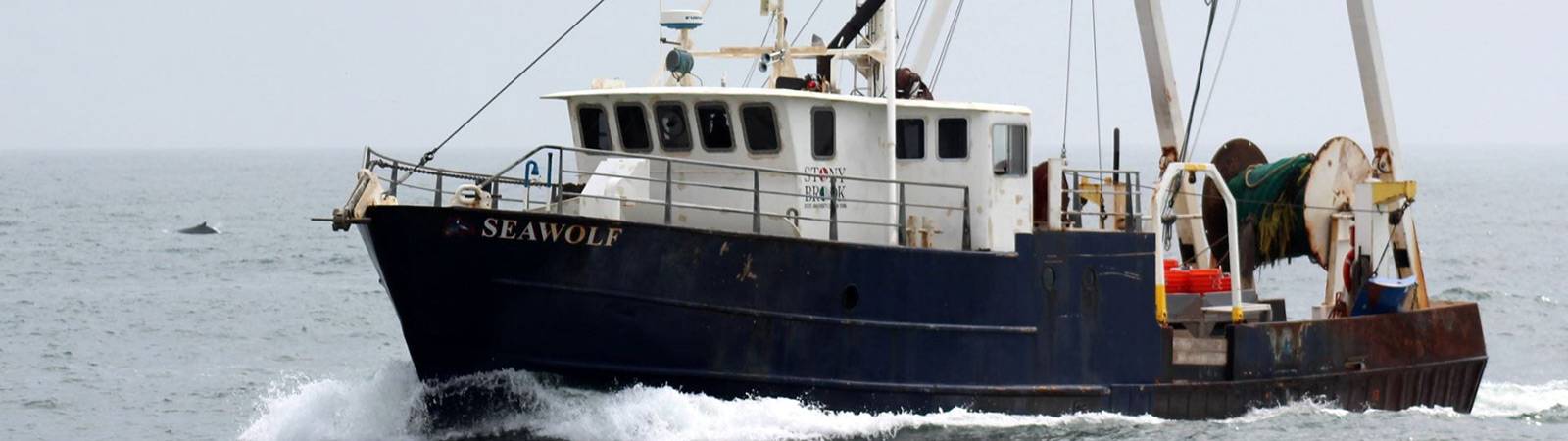 The Research Vessel Seawolf cruises in the ocean