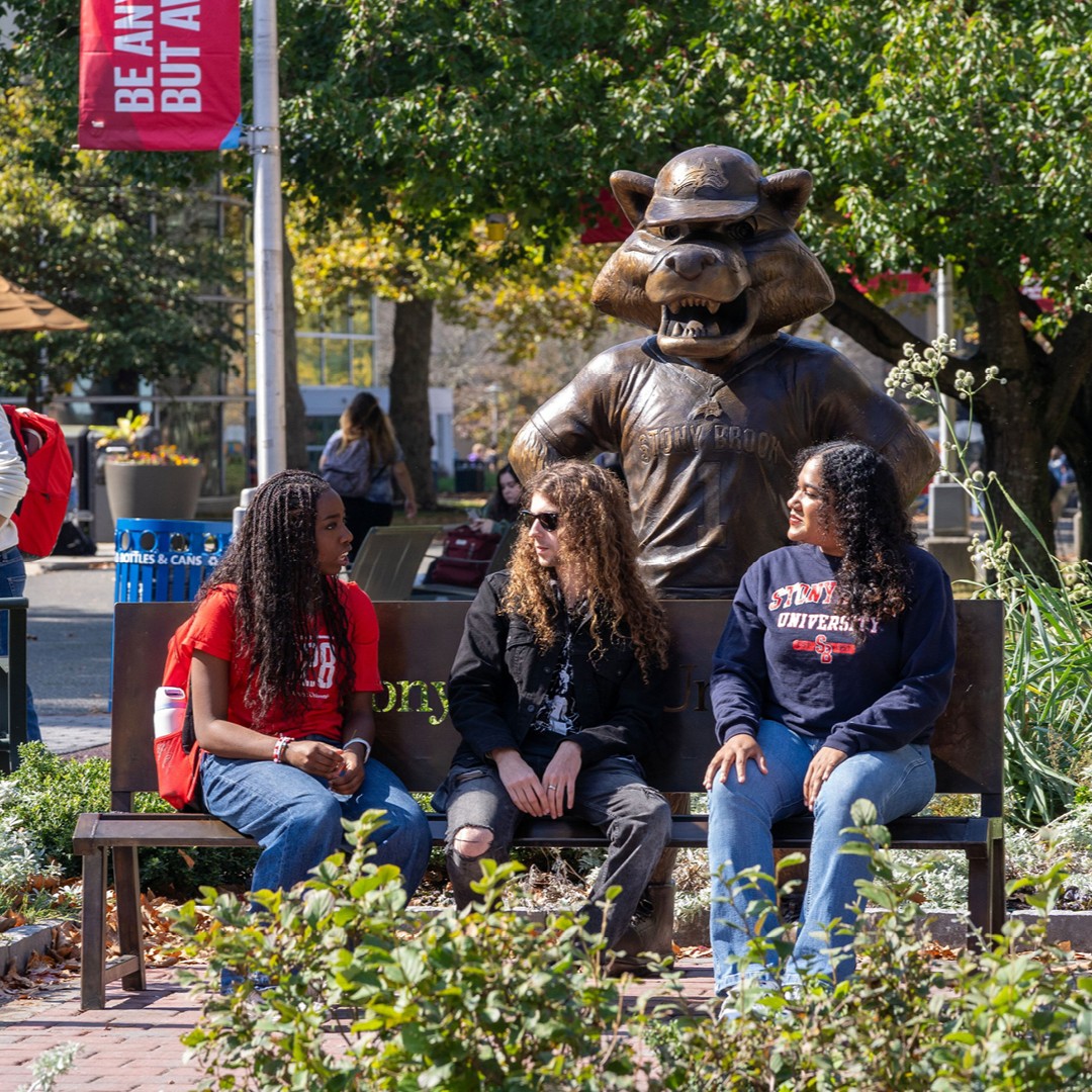 Undergraduate Program portrait