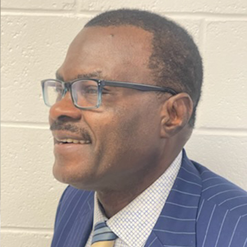 Foluso Ladeinde portrait