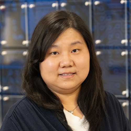 Jie Gao portrait