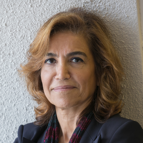 Anissa Abi-Dargham, MD portrait