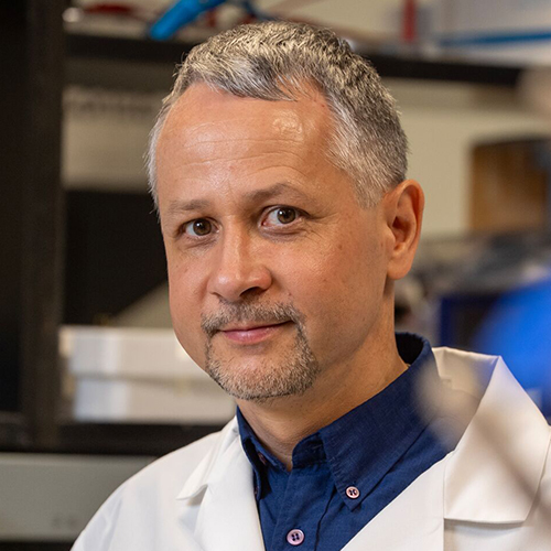 Gábor Balázsi, PhD portrait