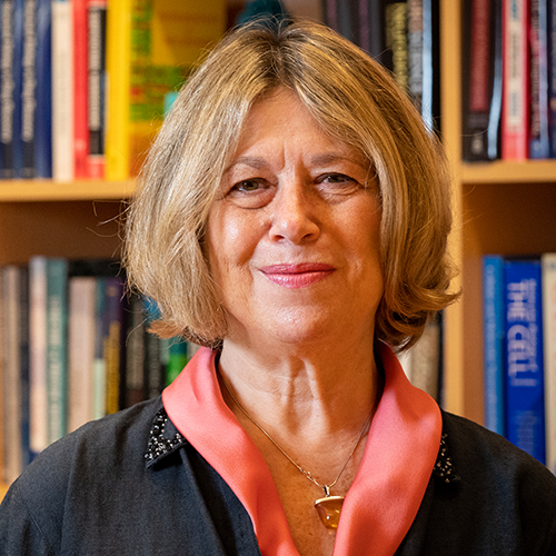 Ivet Bahar, PhD portrait