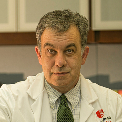 Joel Saltz, MD, PhD portrait