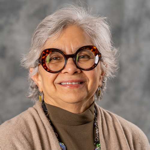 Manisha Desai, PhD portrait