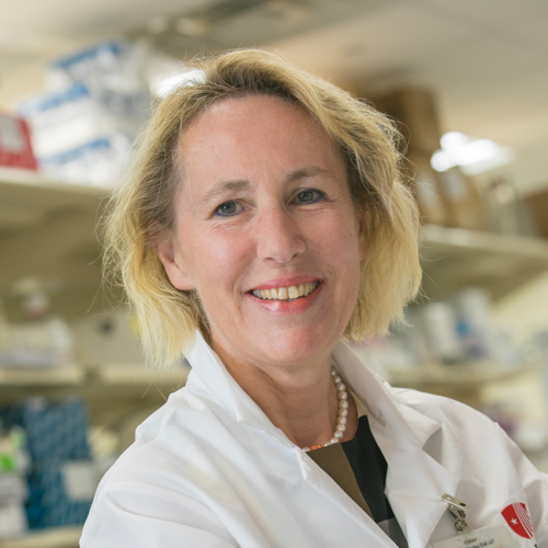 Ute Moll, MD, MS portrait