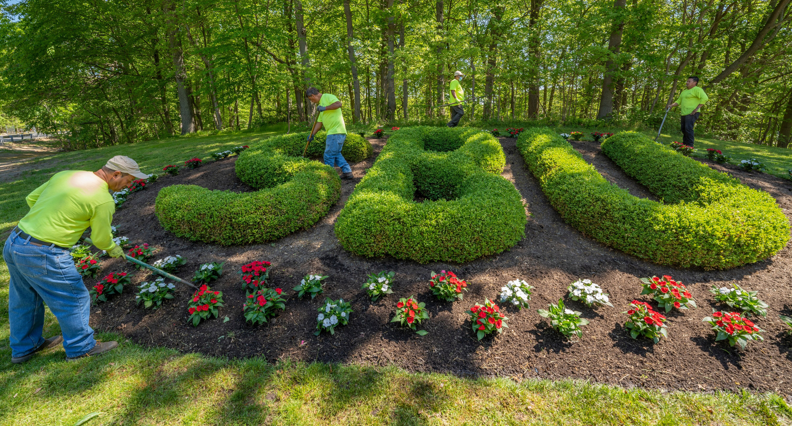landscapers working on garden arrangement