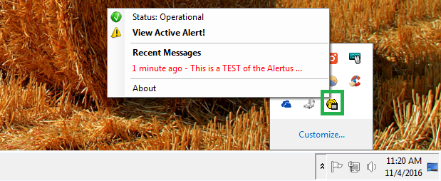 Windows decktop with alterus taskbat message