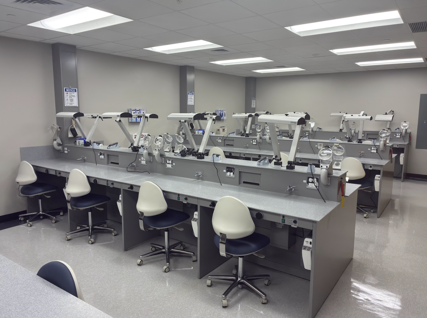 Renovated workspace in new oral biology lab