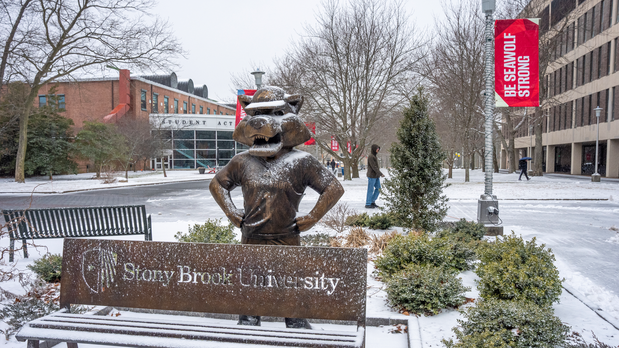 Wolfie Statue and bench with light dusting of snow on them