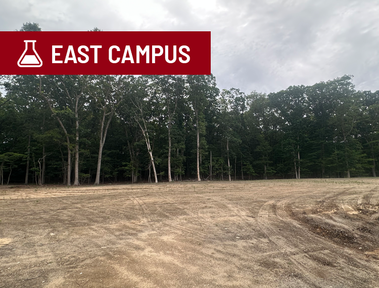 clearing following demolition of buildings with "east campus" location overlay