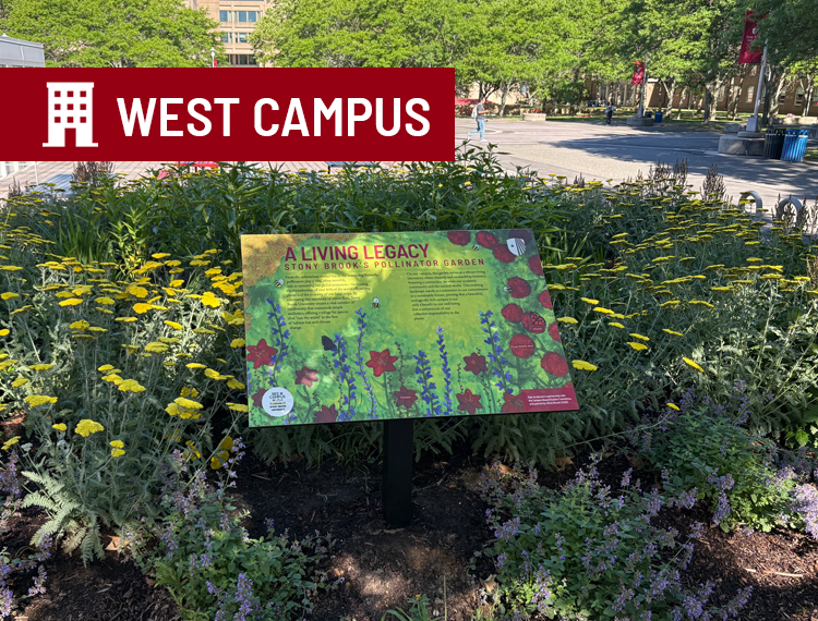 blooming pollinator garden on campus with "west campus" location overlay