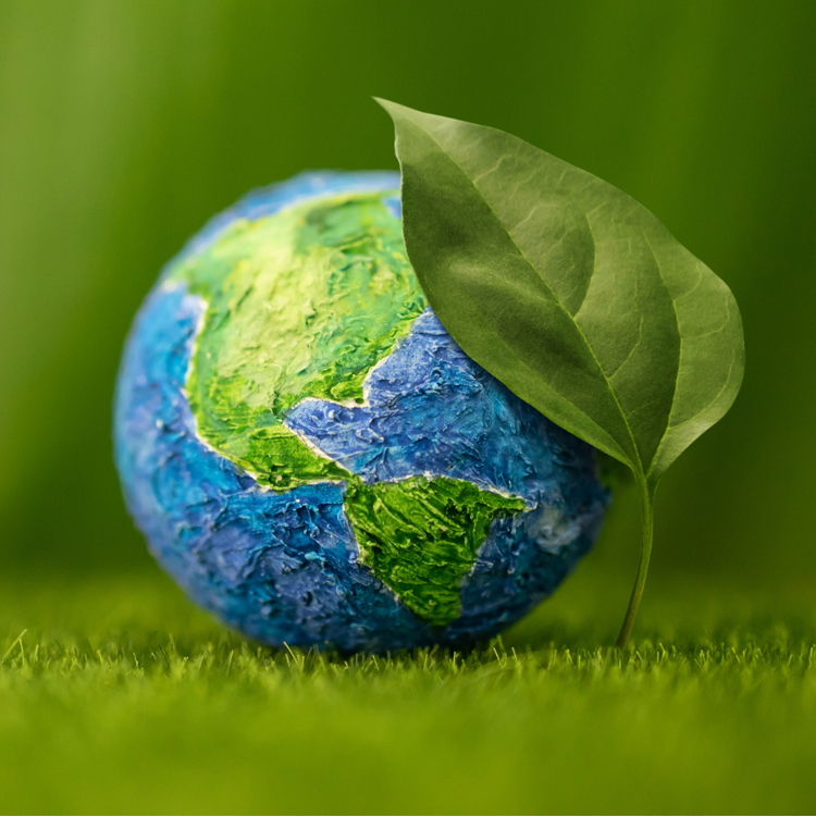 leaf hovering over model of planet earth