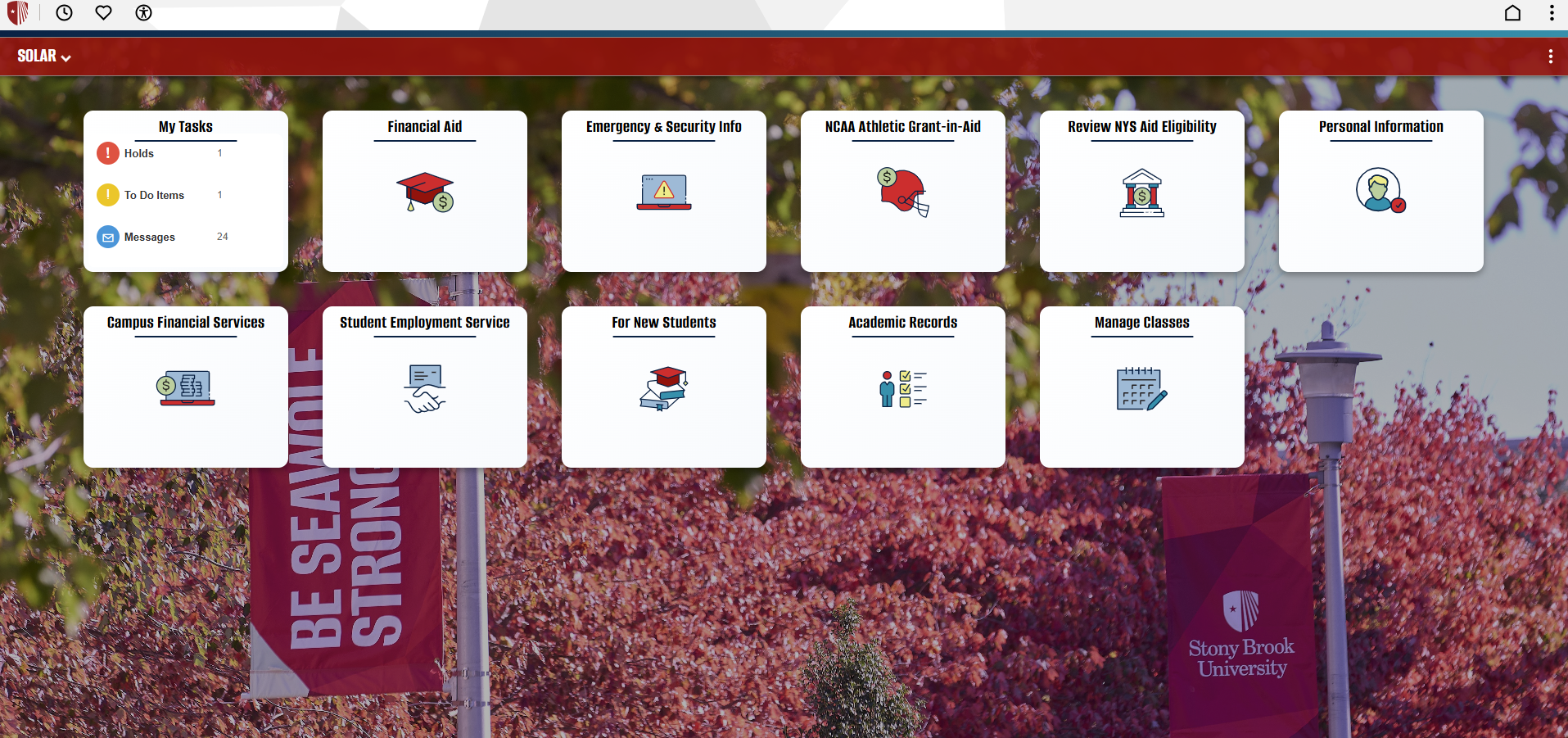 image of solar home page