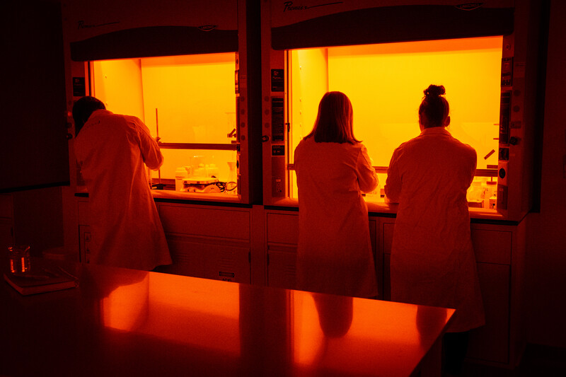 Researchers working at illuminated laboratory fume hoods
