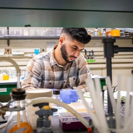 Student conducting research in a lab