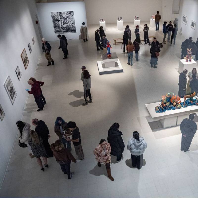 Visitors viewing artwork inside a gallery exhibition space