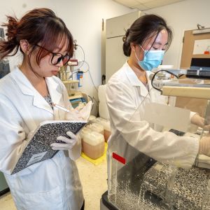 Students conducting research in a laboratory using scientific equipment