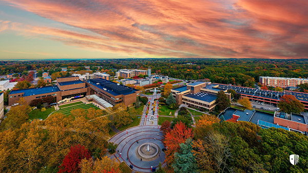 Drone photo of SBU campus