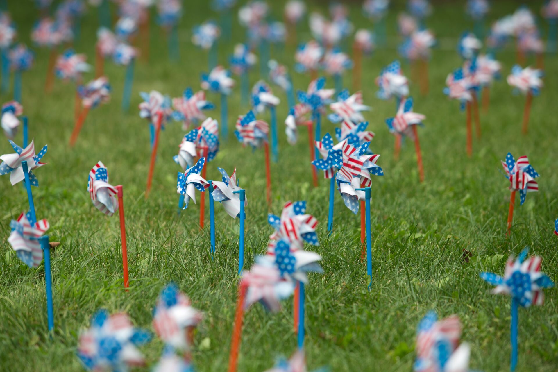 Patriotic pinwheels, in red, white and blue colors, arranged in a grassy area on the SBU campus.