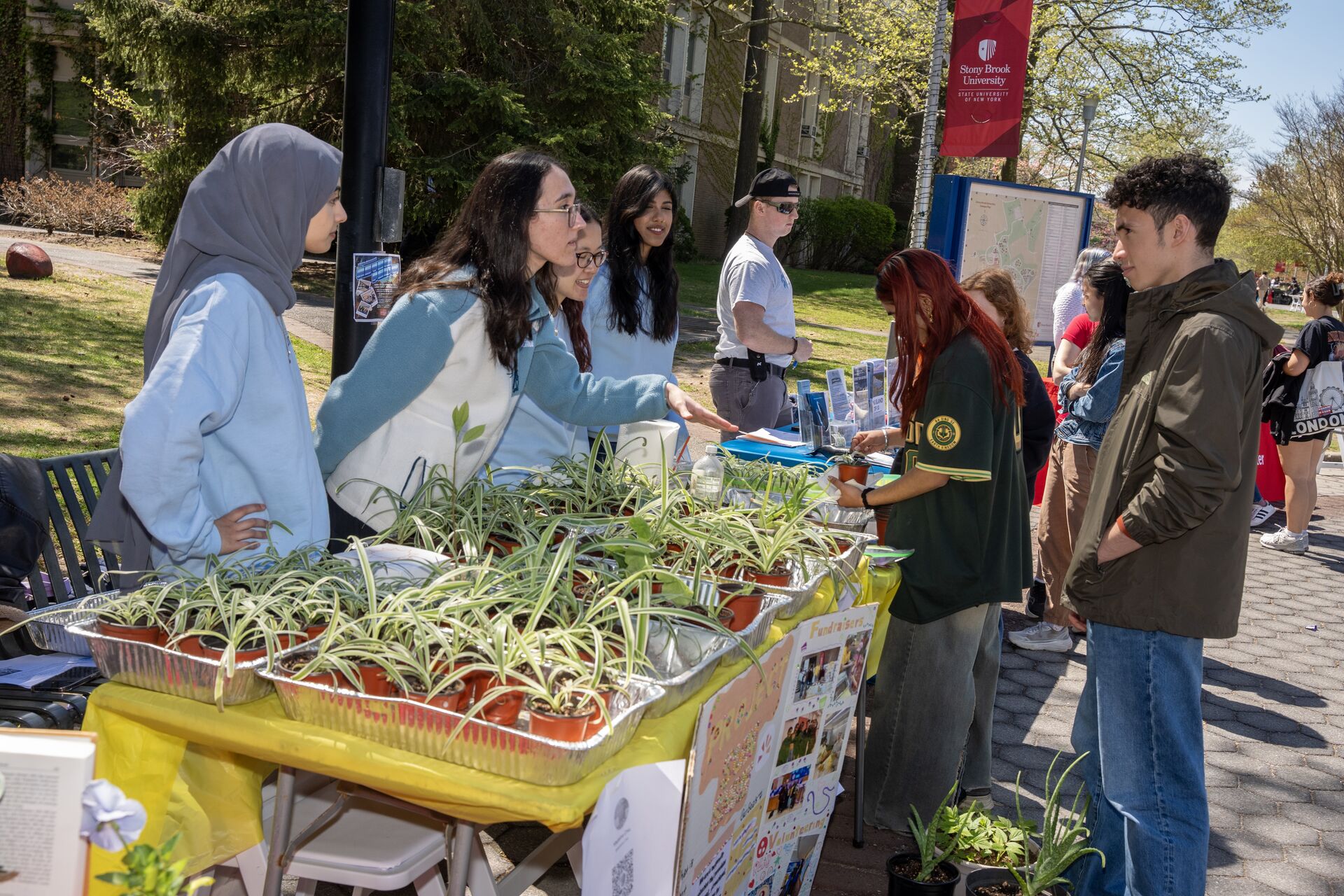 Students gather around an outdoor festival table filled with rows of small potted spider plants at Stony Brook University's Earthstock event.