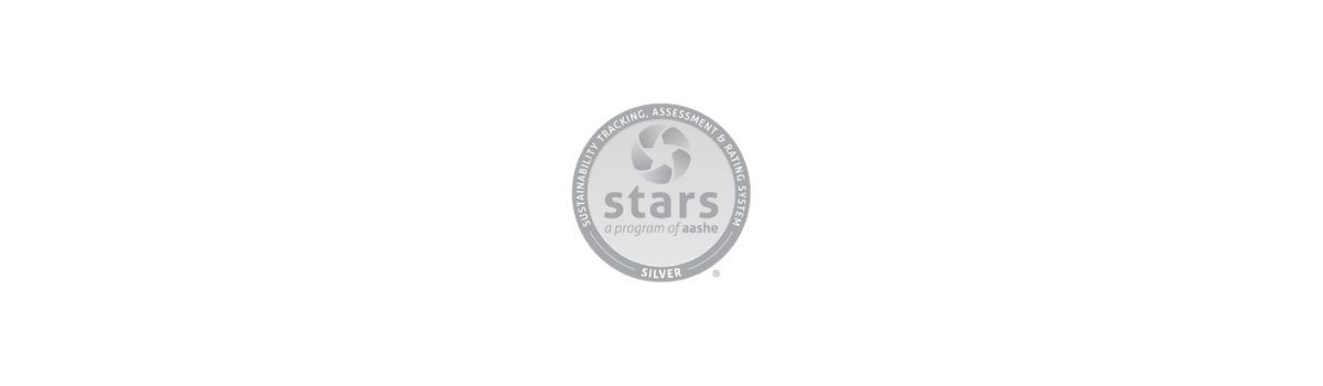stars icon