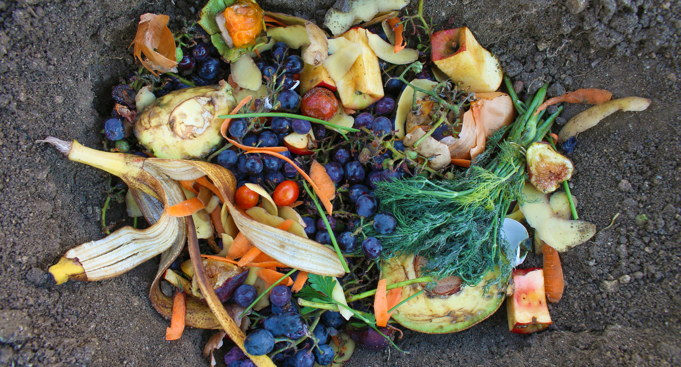 pile of compost materials in dirt