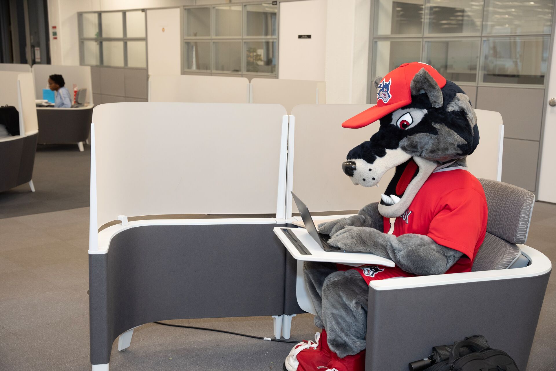 woflie with computer