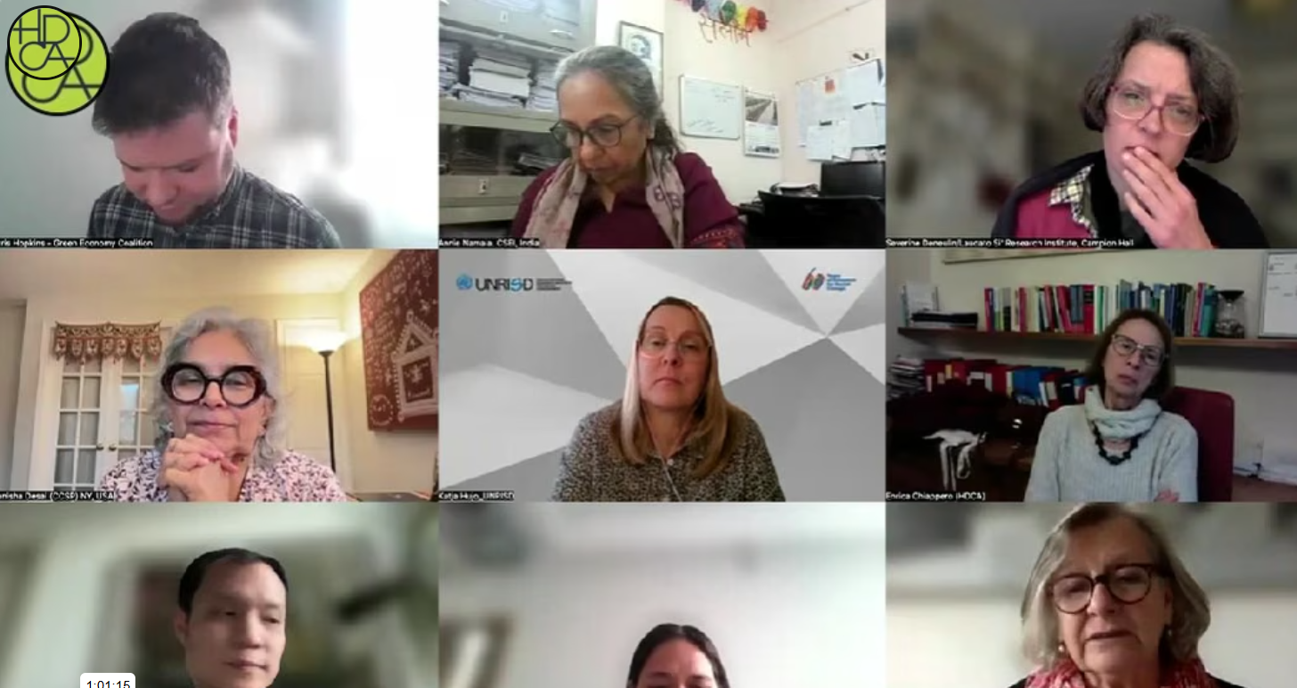 A grid of nine participants in a virtual meeting, each shown in their own video window, engaged in the webinar “Promoting transformative change through new eco-social contracts.”