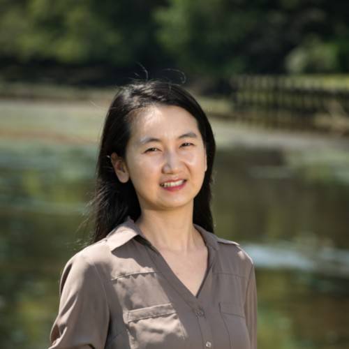 Dr. Yi Zhang portrait