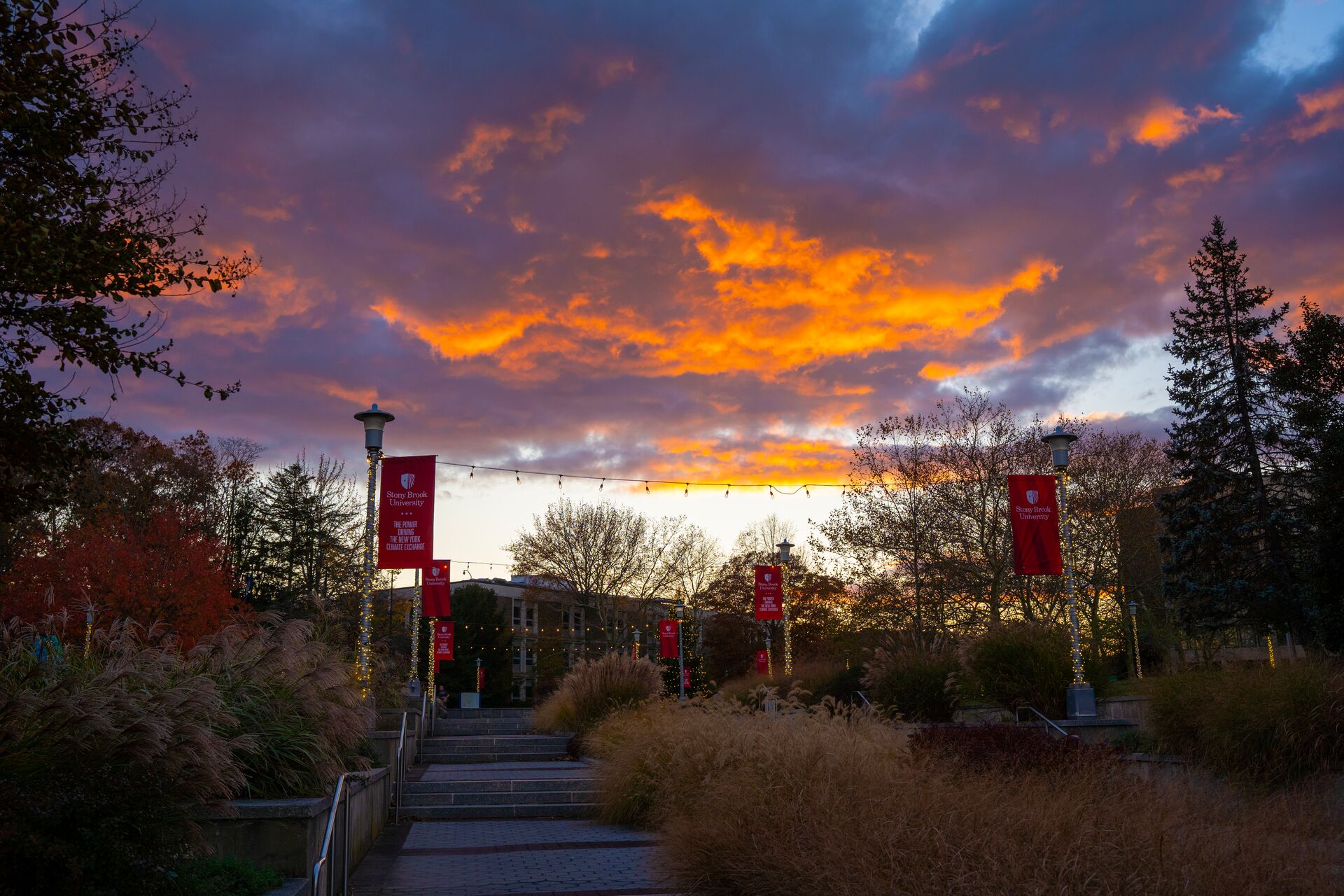 sunset on campus